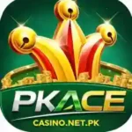 pkace game official feature image