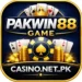Pakwin88 official game feature image.