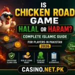 Chicken Road game: halal or haram