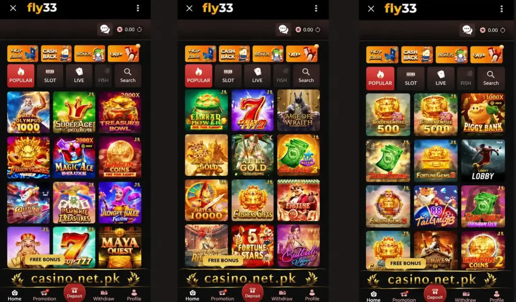fly33 casino official game image.