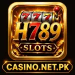 H789 game official feature image.
